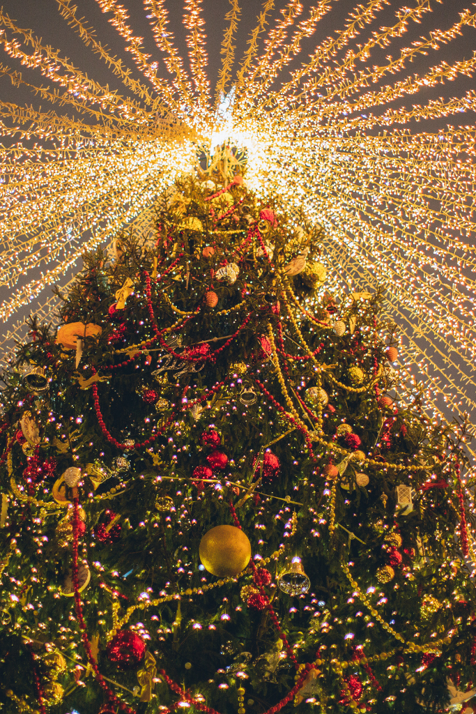 Eisfahrrad mieten mobile eistheke sommerfest catering handgemachtes eis